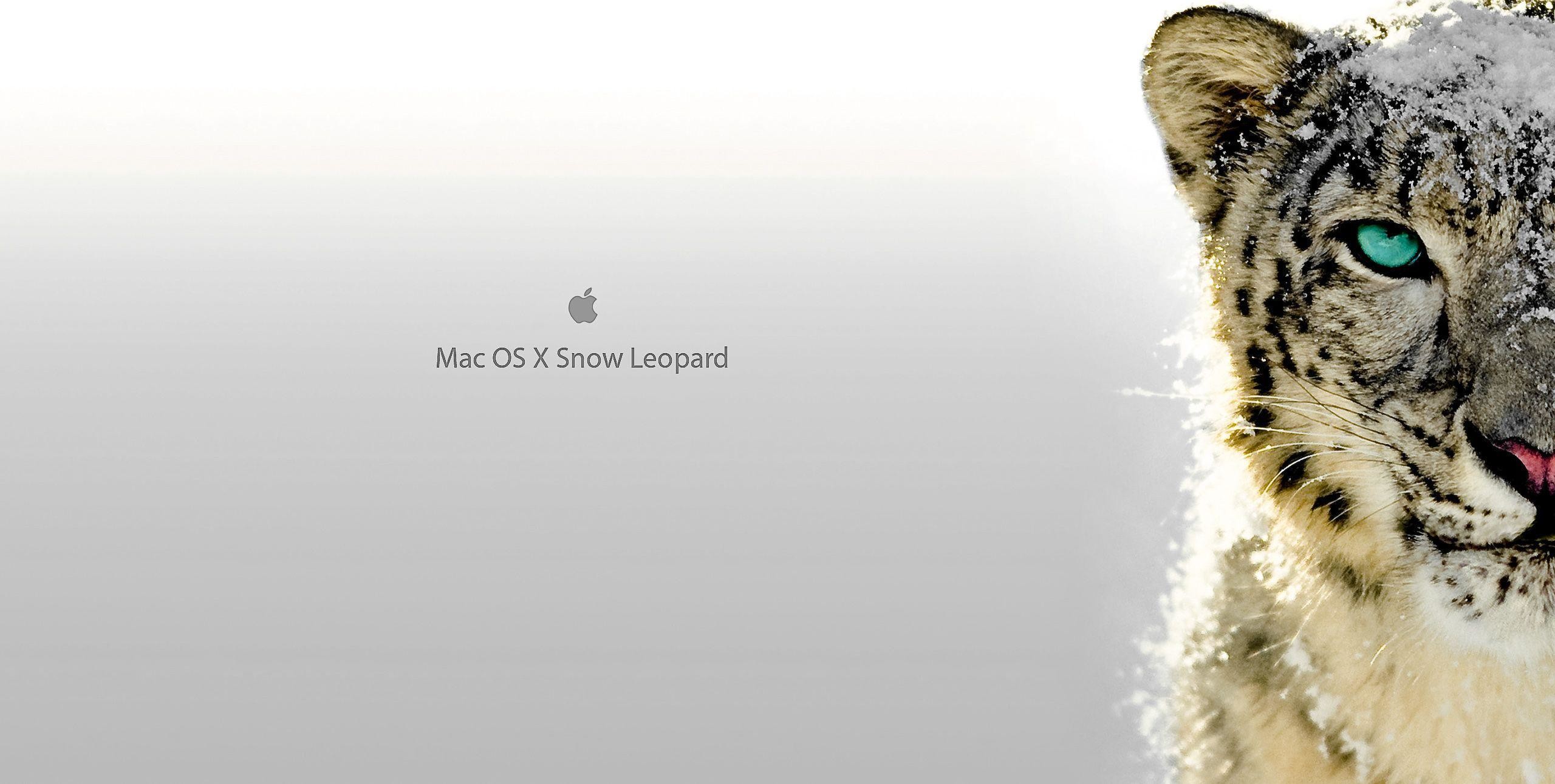 Mac Os X Leopard Server Download